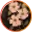 nellpaints