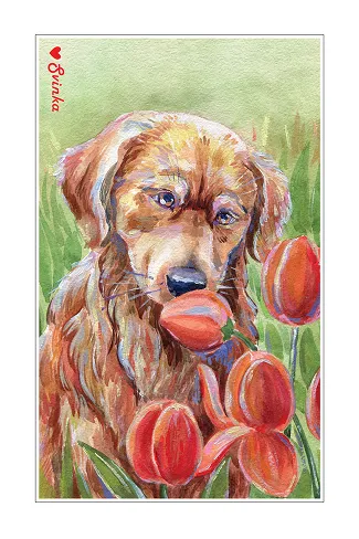 Hand-illustrated card of a golden retriever among red tulips