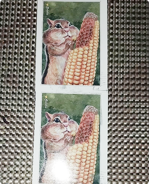 Hand-painted postcard of a chipmunk nibbling a yellow corn cob